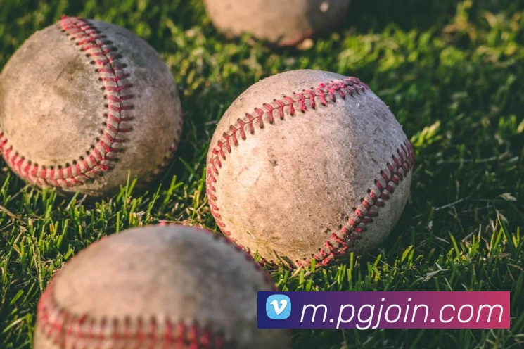 pg电子平台生态图